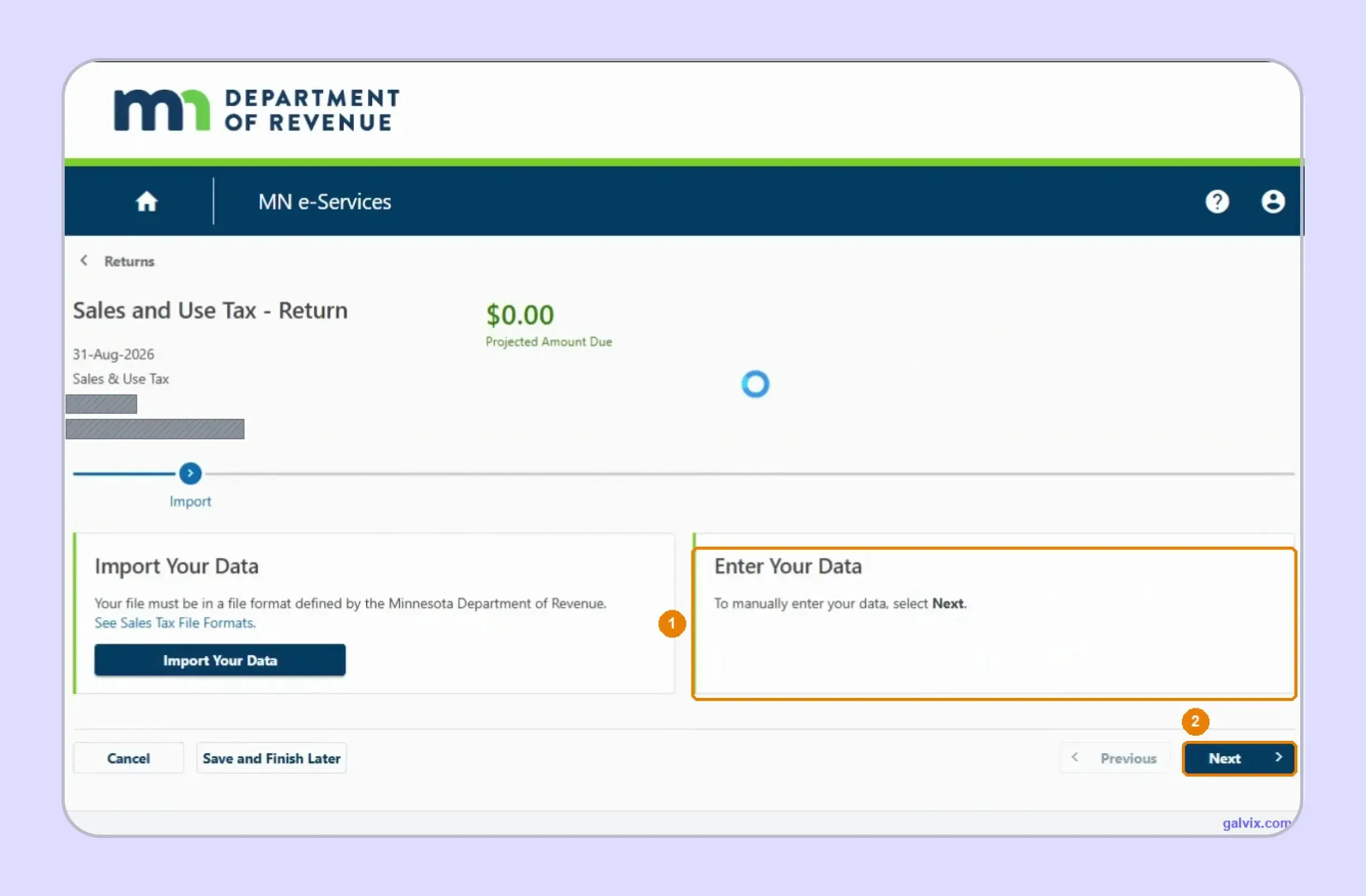 Minnesota sales tax return import and manual entry options